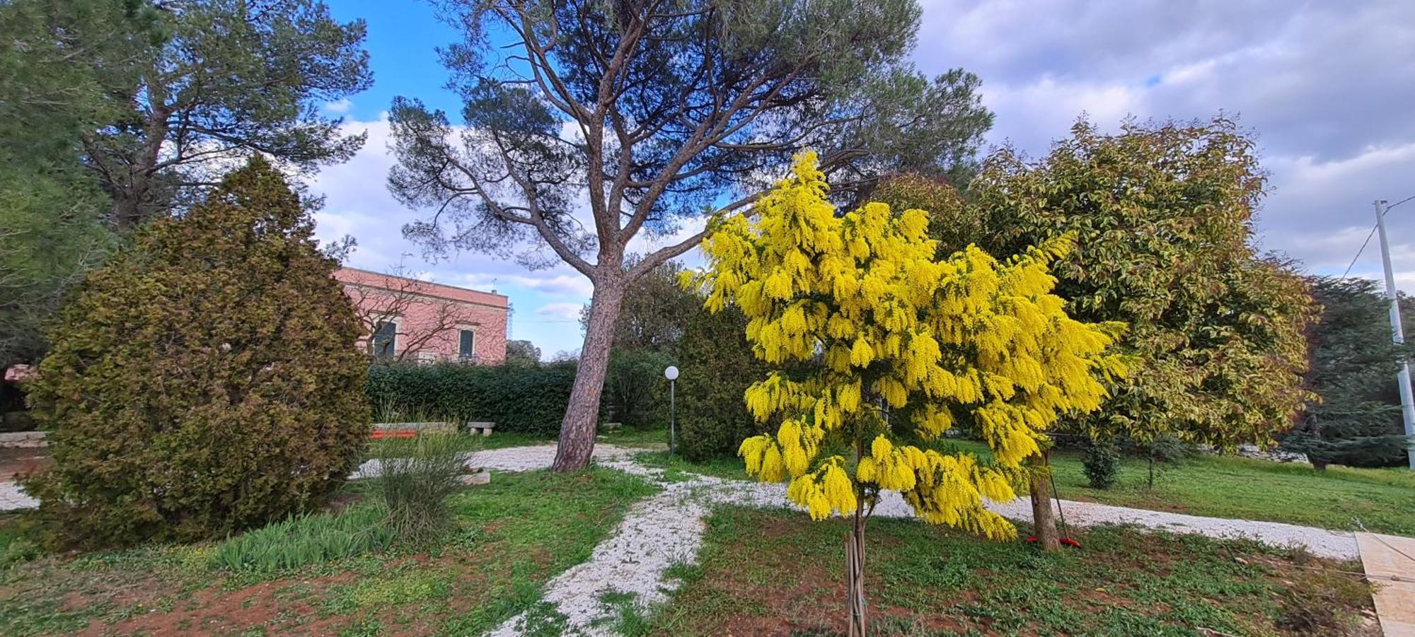 Villa Morea-Relax In Piscina Putignano Exterior foto